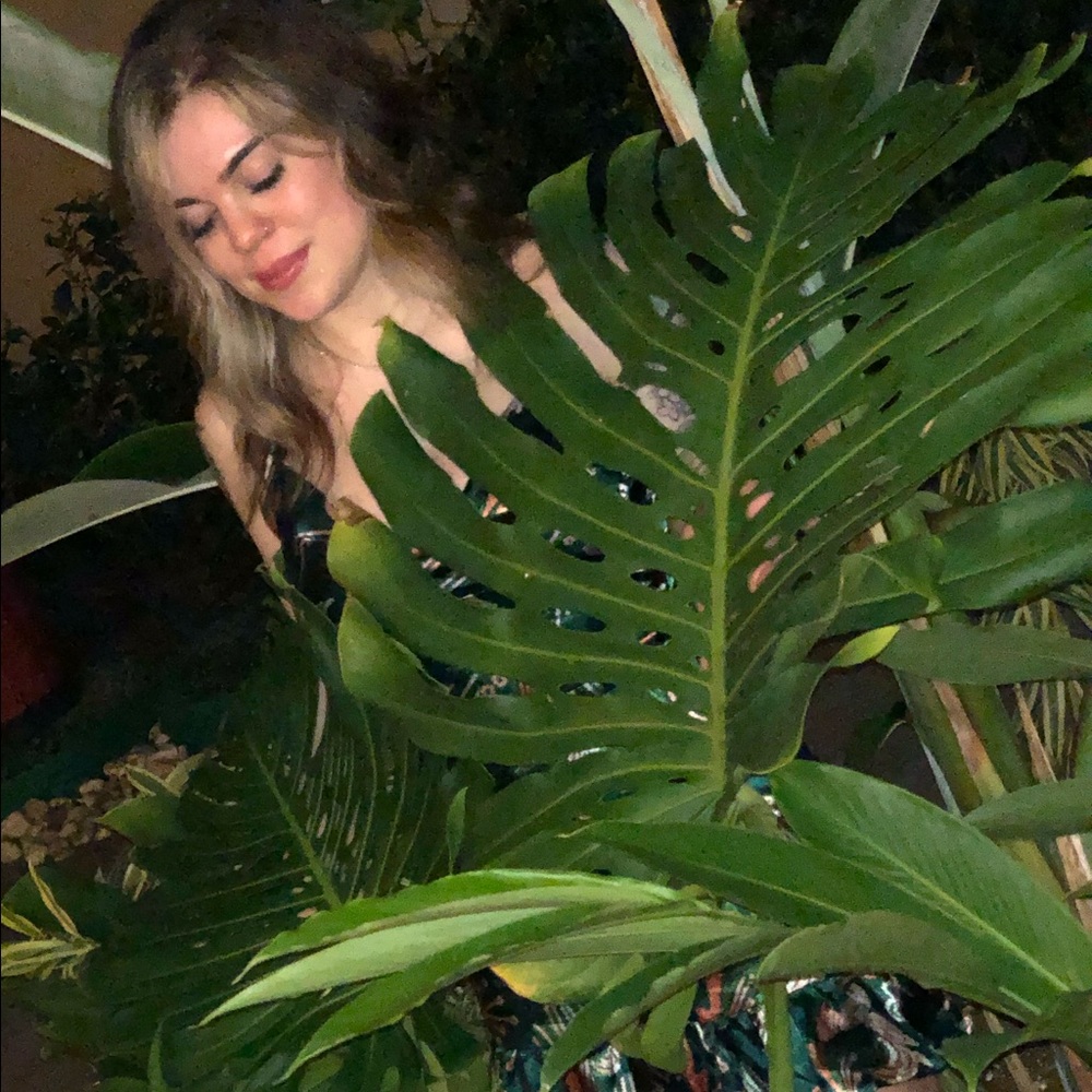 Meet your Posher, Grace